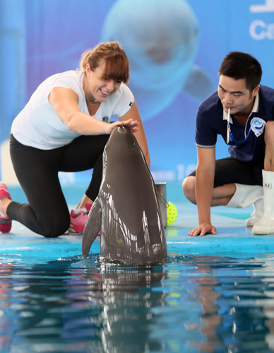 球迷感到担 球迷感到担