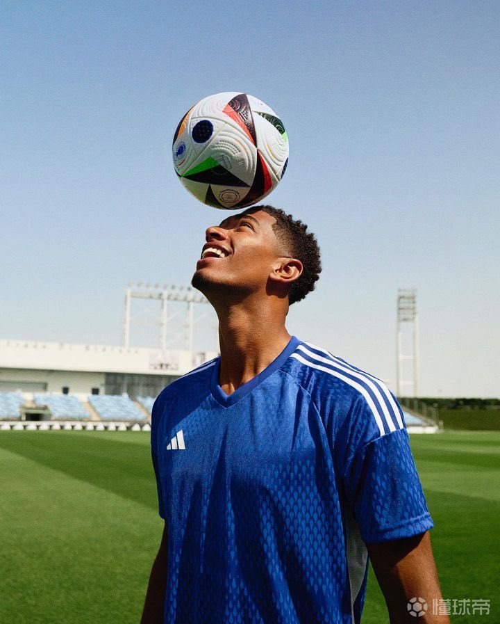 共同构成了 共同构成了