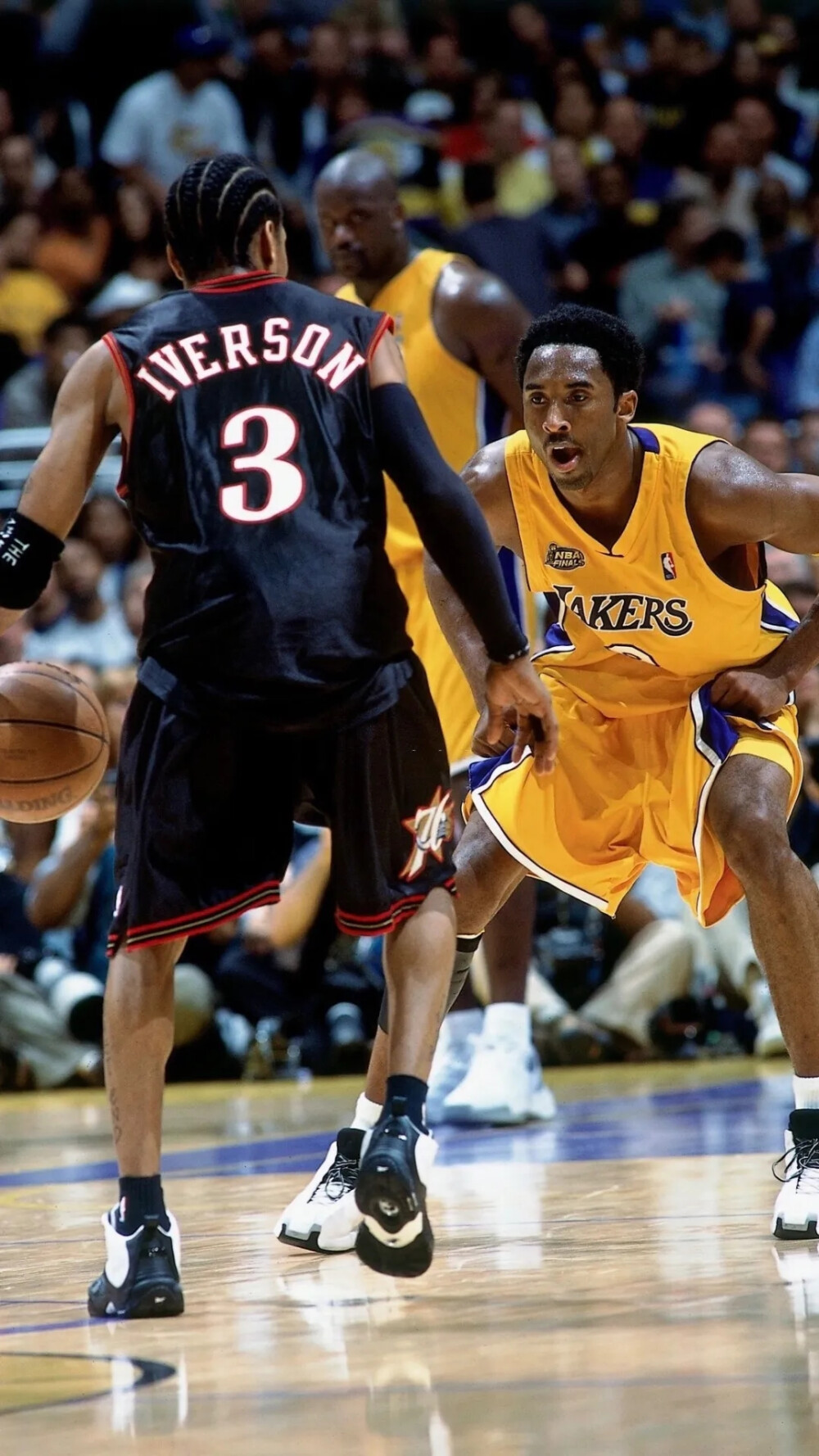 群体的普遍 群体的普遍